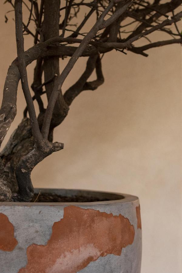 Taller De Juan - Casa Hotel San Cristóbal de Las Casas Екстериор снимка